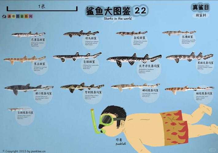 荒野水下竟藏这般神秘生物？地心护核者荒野区鱼类你全都了解吗？